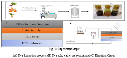 article IJEAP : Optical properties and efficiency studies for Beta Vulgarize, Curcuma Longa and Vulgaris var. cicla dye sensitized solar cell